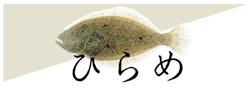 ひらめ