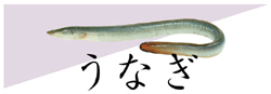 うなぎ